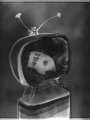 Changing Channels - Scratchy Pooch (Photogram & Darkroom Collage)