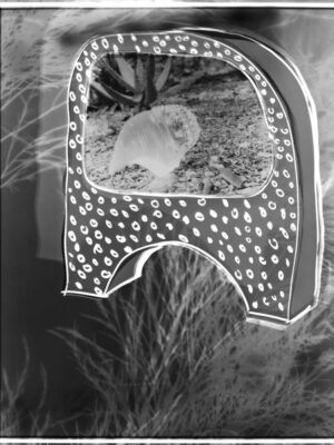TV Photogram Print #2 Print