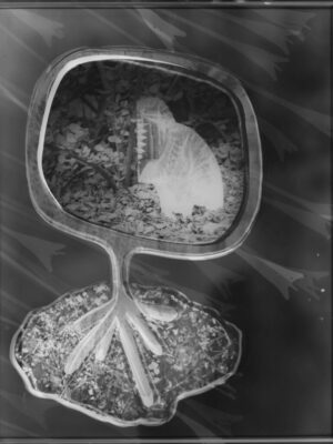 TV Photogram Print #4